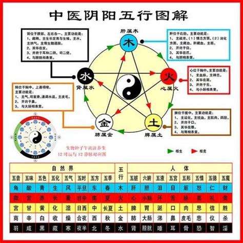 五行屬性怎麼看